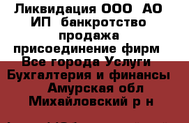 Ликвидация ООО, АО, ИП, банкротство, продажа, присоединение фирм - Все города Услуги » Бухгалтерия и финансы   . Амурская обл.,Михайловский р-н